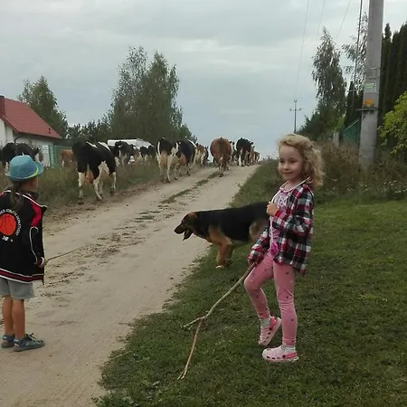 102 * Nowe Guty