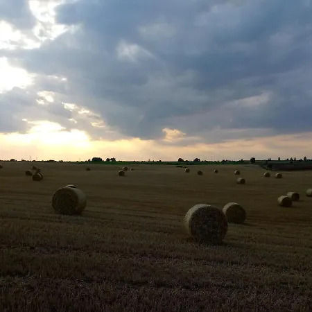 Villa 102